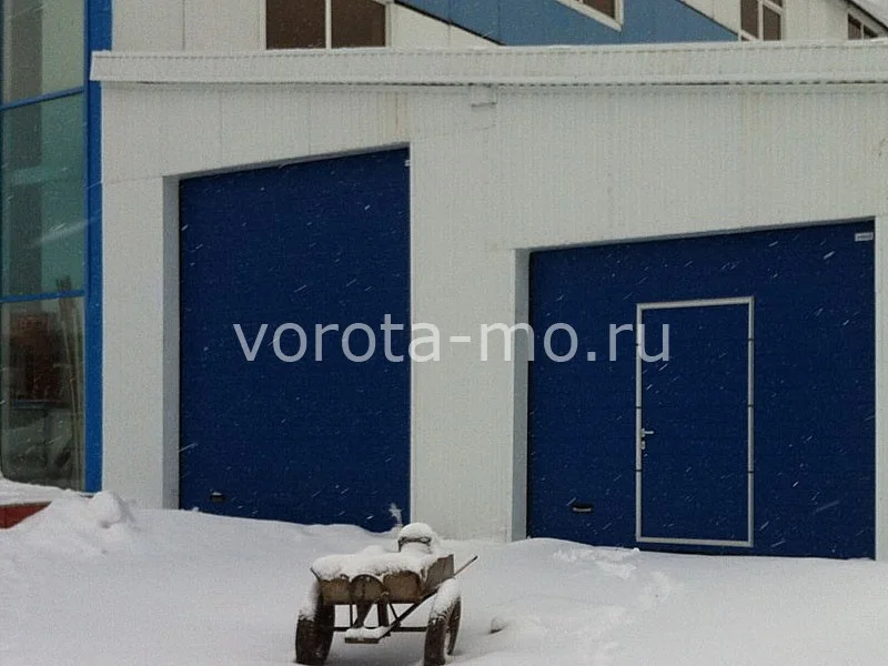 Гаражные ворота с калиткой 2750*3000
